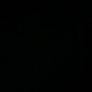 Meet your Posher, Annabelle